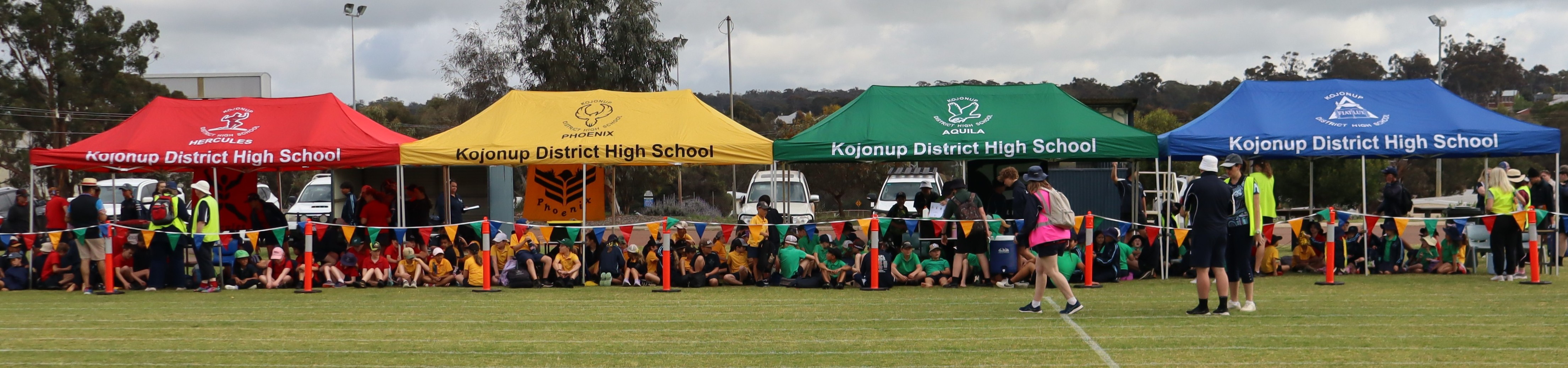 /uploaded_files/media/gallery/17617099431 Faction Bays.JPG